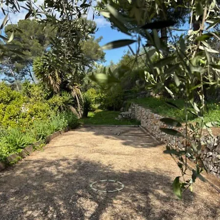 De Piscine Calme Et Verdure Vallauris