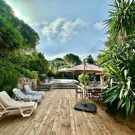 De Piscine Calme Et Verdure Vallauris